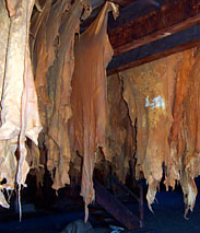 Sämisch gegerbtes Hirschleder